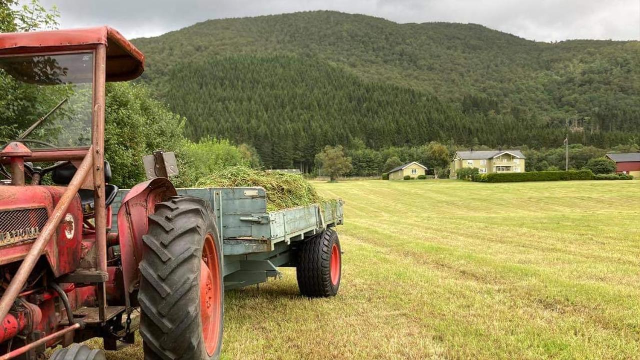Rodseth Gardsovernatting Hytter Molde Zewnętrze zdjęcie